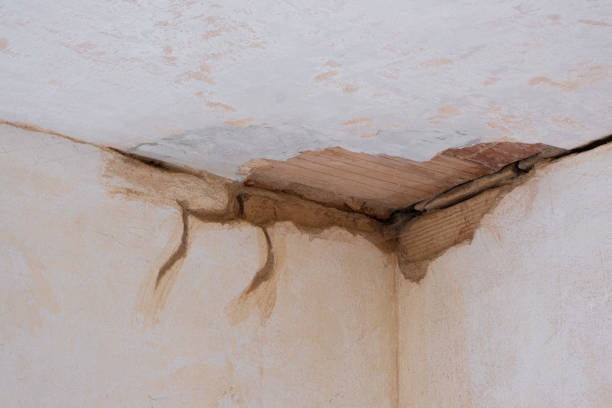 Best Water damage restoration near me  in Bradner, OH