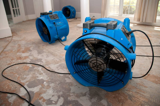 Best 24/7 water damage repair  in Bradner, OH