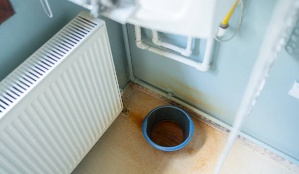Water damage restoration mold remediation in Bradner, OH