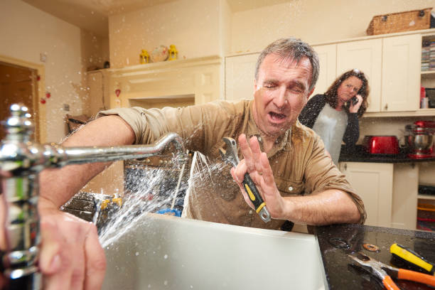Best Flooded house restoration  in Bradner, OH